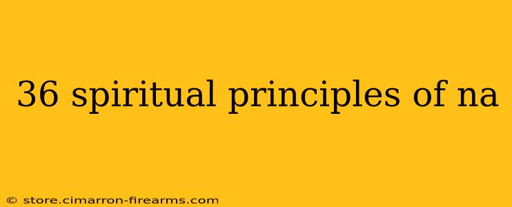 36 spiritual principles of na