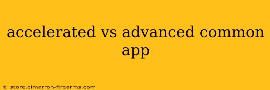 accelerated vs advanced common app