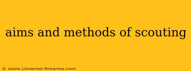 aims and methods of scouting