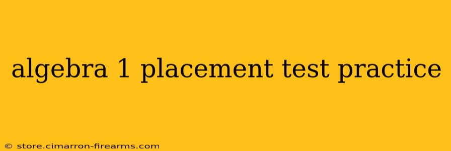 algebra 1 placement test practice