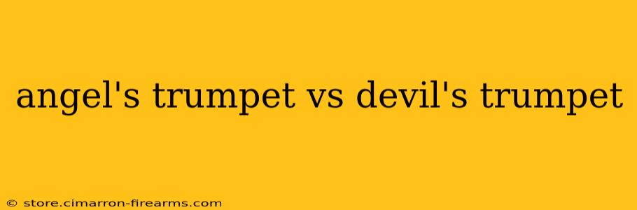 angel's trumpet vs devil's trumpet