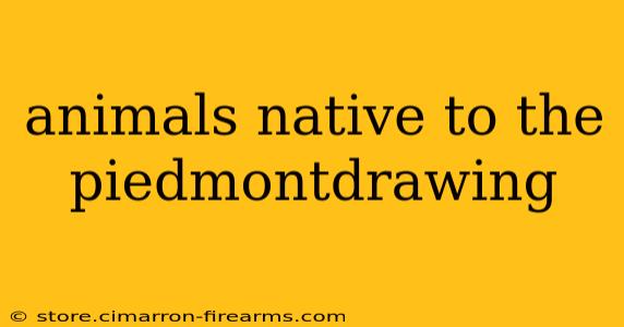 animals native to the piedmontdrawing