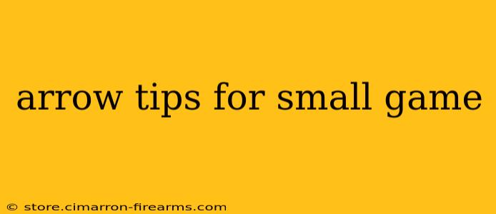 arrow tips for small game