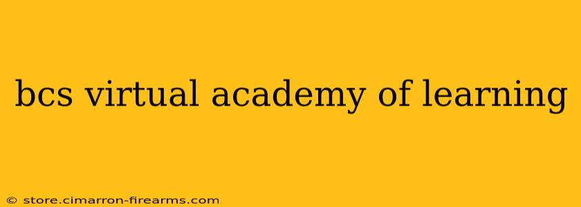 bcs virtual academy of learning