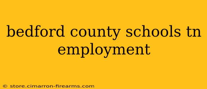 bedford county schools tn employment