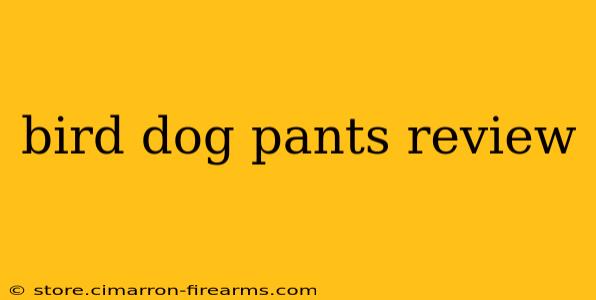 bird dog pants review