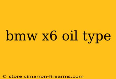 bmw x6 oil type