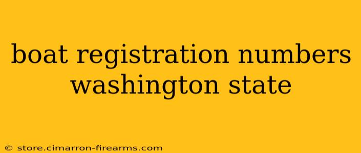 boat registration numbers washington state