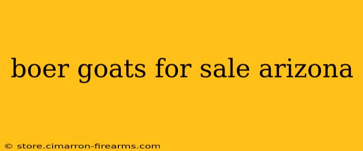 boer goats for sale arizona