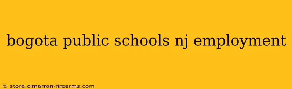 bogota public schools nj employment