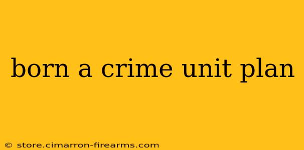 born a crime unit plan