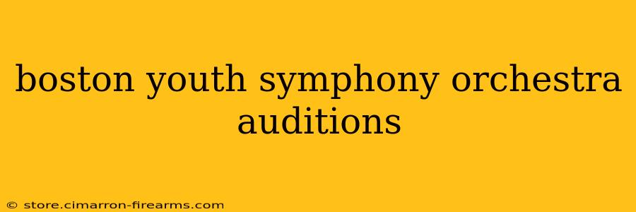 boston youth symphony orchestra auditions