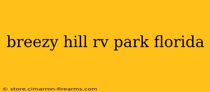 breezy hill rv park florida