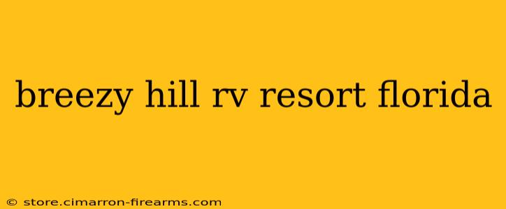 breezy hill rv resort florida