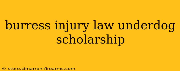 burress injury law underdog scholarship