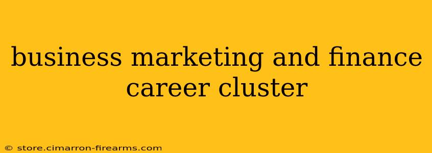 business marketing and finance career cluster