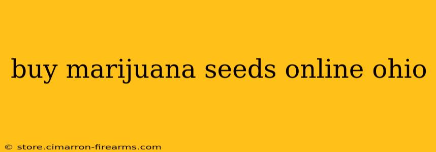 buy marijuana seeds online ohio