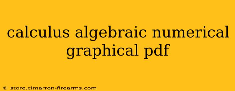 calculus algebraic numerical graphical pdf