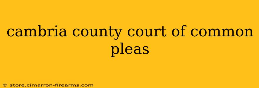 cambria county court of common pleas