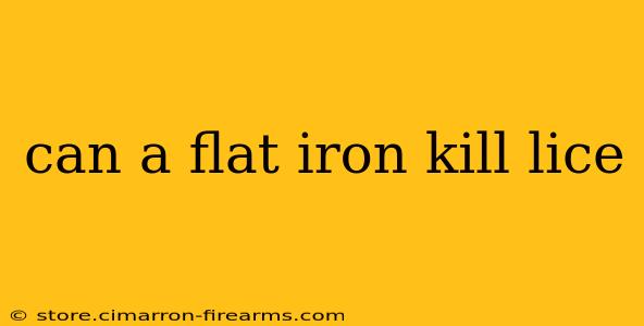 can a flat iron kill lice