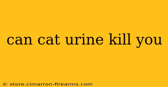 can cat urine kill you