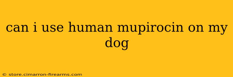 can i use human mupirocin on my dog