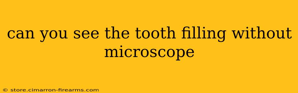 can you see the tooth filling without microscope