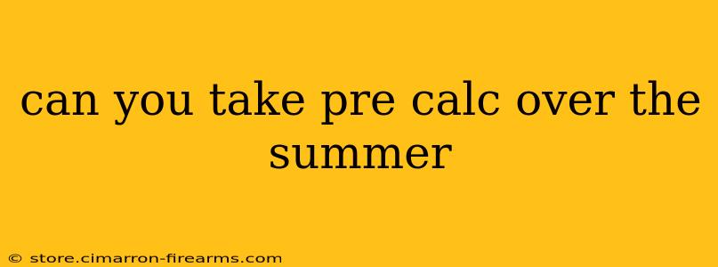 can you take pre calc over the summer