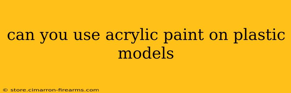 can you use acrylic paint on plastic models