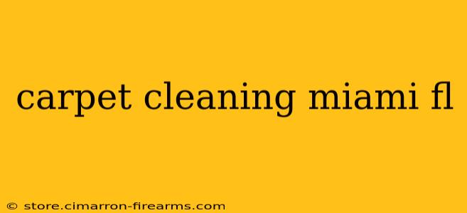 carpet cleaning miami fl