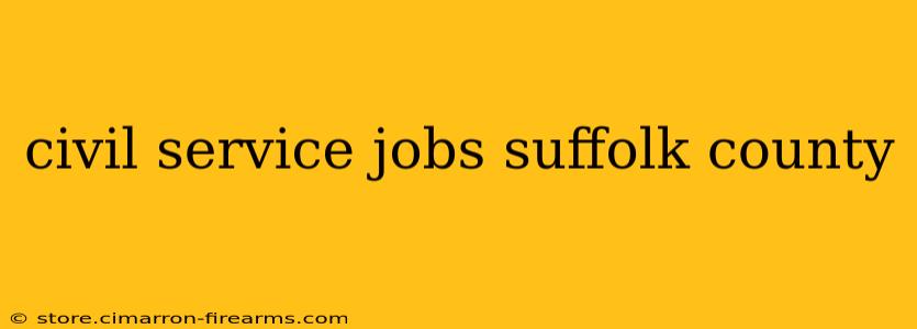 civil service jobs suffolk county