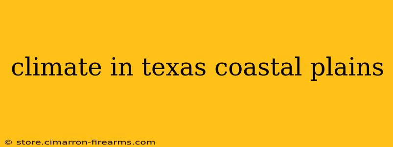 climate in texas coastal plains