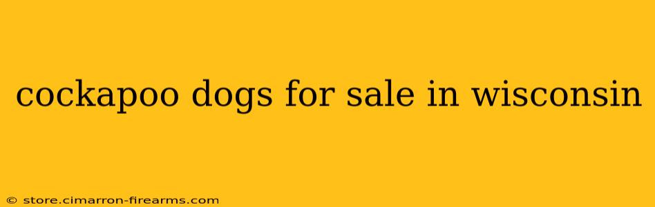 cockapoo dogs for sale in wisconsin