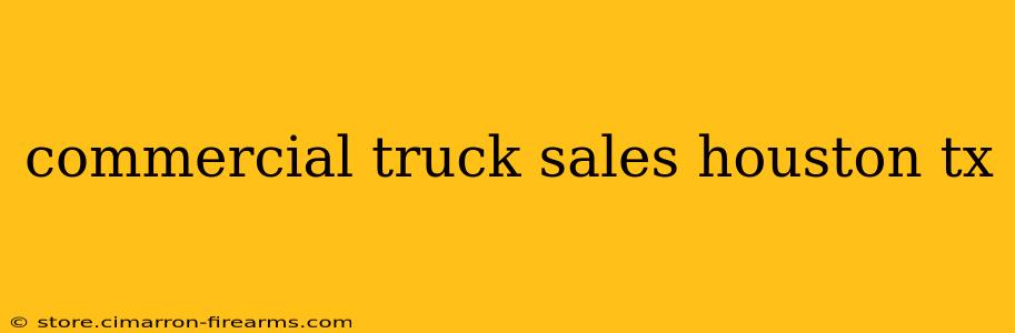 commercial truck sales houston tx