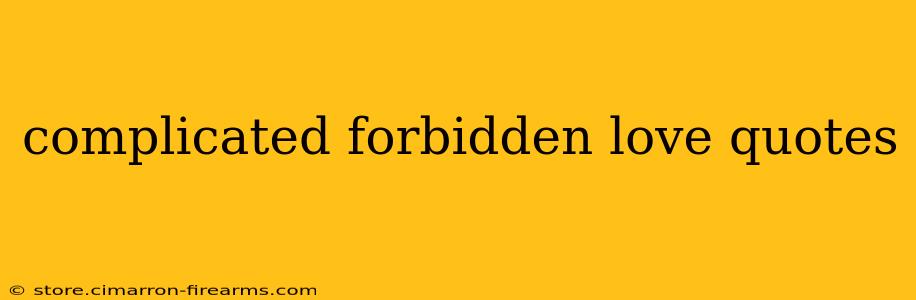 complicated forbidden love quotes