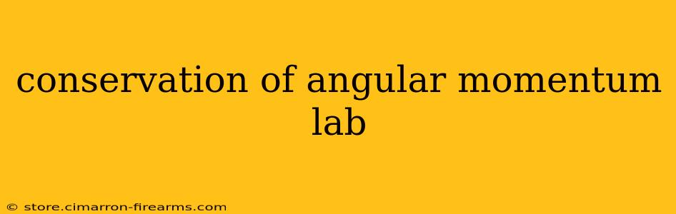 conservation of angular momentum lab