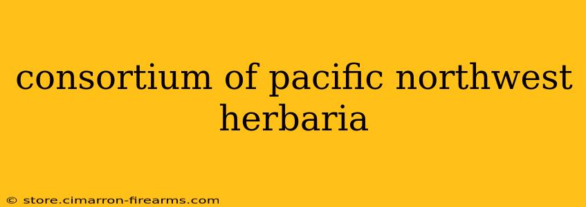 consortium of pacific northwest herbaria