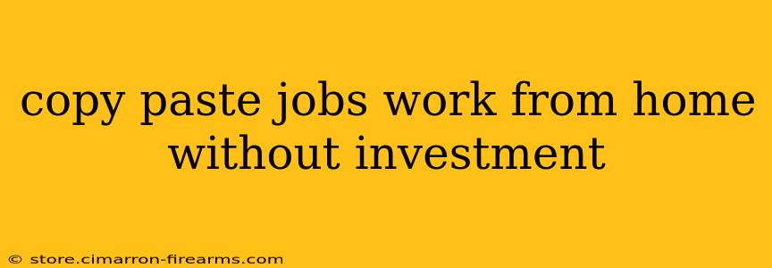 copy paste jobs work from home without investment