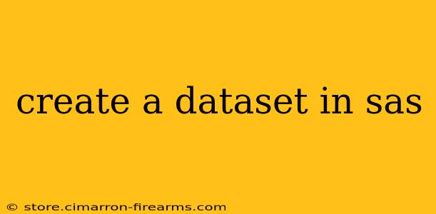 create a dataset in sas