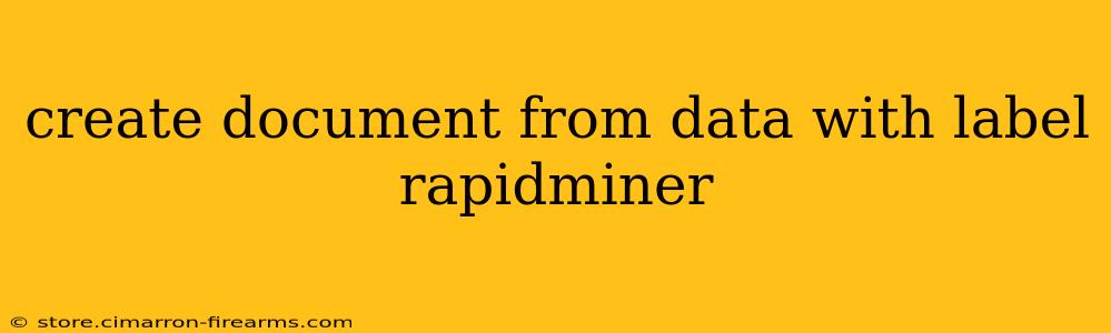 create document from data with label rapidminer