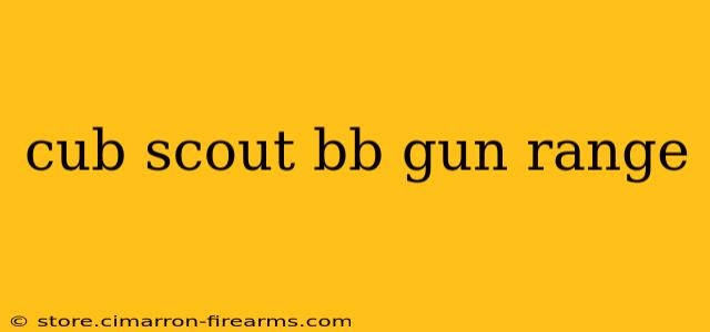 cub scout bb gun range