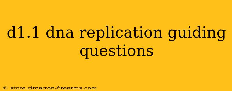 d1.1 dna replication guiding questions