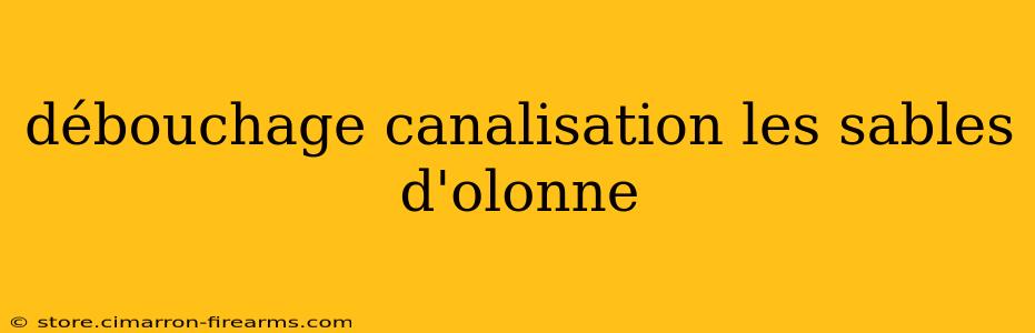 débouchage canalisation les sables d'olonne