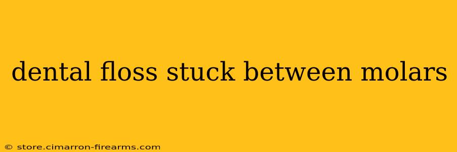 dental floss stuck between molars