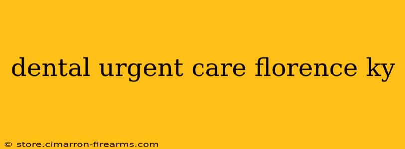 dental urgent care florence ky