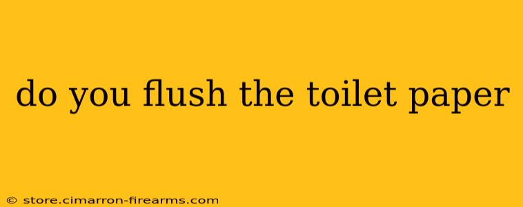 do you flush the toilet paper