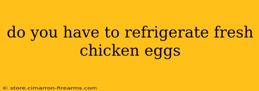 do you have to refrigerate fresh chicken eggs