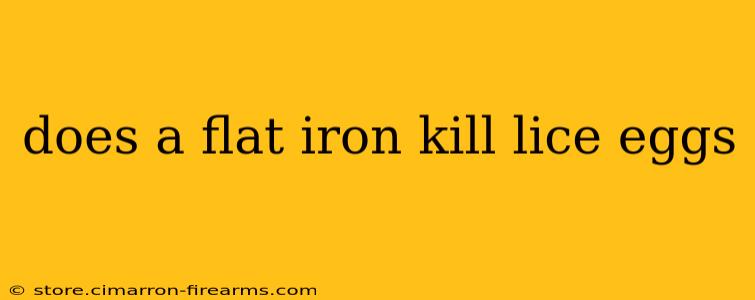 does a flat iron kill lice eggs