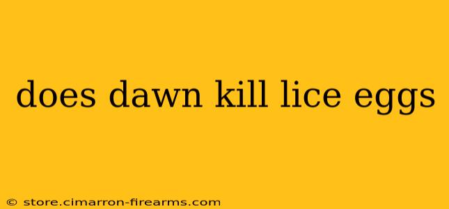 does dawn kill lice eggs