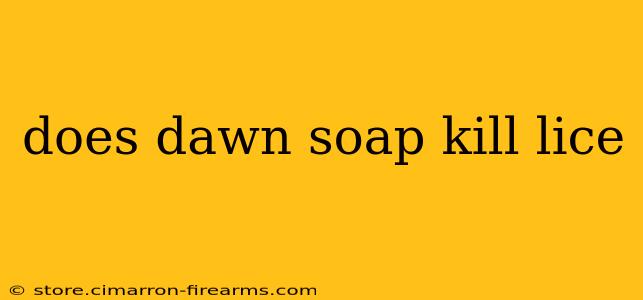 does dawn soap kill lice